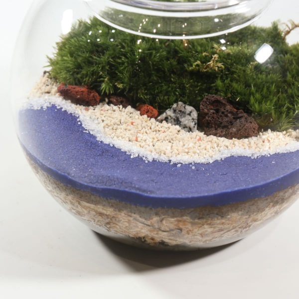 BALL - Image 2
