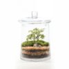 CANDY JAR