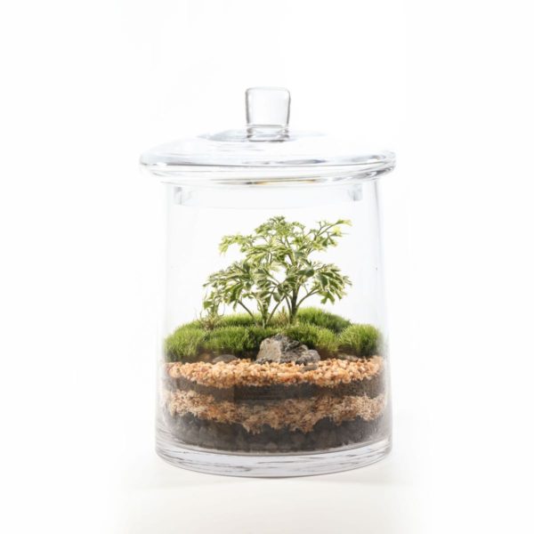 CANDY JAR
