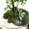 DOME PLUS - Image 2