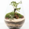 DROP - Image 2