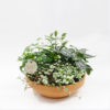FOLIAGE MIX - Image 2