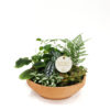FOLIAGE MIX - Image 3