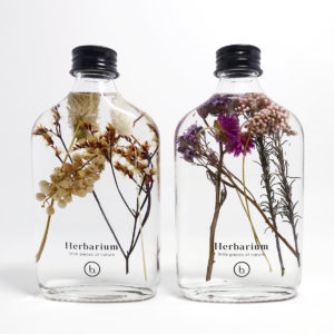 Herbarium | 植物標本瓶