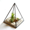 AIR PLANT PYRAMID 空氣草錐形擺設 - Image 2