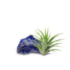 AIR PLANT WITH CRYSTAL 空氣草水晶擺設 - Image 2