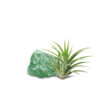 AIR PLANT WITH CRYSTAL 空氣草水晶擺設 - Image 5