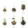 WORKSHOP VOUCHER/ BONSAI